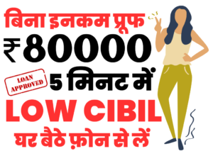 bina Income Proof Low CIBIl Loan